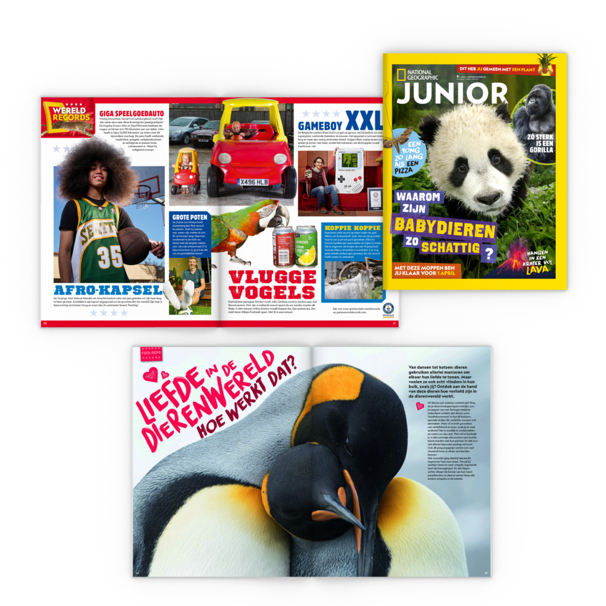 National Geographic Junior